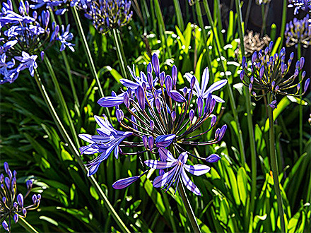 C7娱乐平台客户案例一